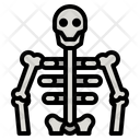 پیش‌نمایش فایل human-skeleton-4355258 از پک سلامت بدن