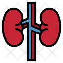 پیش‌نمایش فایل kidney-4355247 از پک سلامت بدن