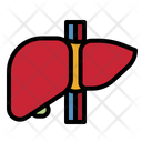 پیش‌نمایش فایل liver-4355249 از پک سلامت بدن