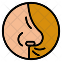 پیش‌نمایش فایل nose-4355254 از پک سلامت بدن