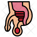پیش‌نمایش فایل prostate-4355257 از پک سلامت بدن