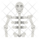 پیش‌نمایش فایل human-skeleton-4355292 از پک سلامت بدن