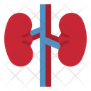 پیش‌نمایش فایل kidney-4355281 از پک سلامت بدن
