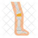 پیش‌نمایش فایل leg-4355282 از پک سلامت بدن