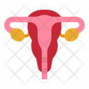 پیش‌نمایش فایل uterus-4355297 از پک سلامت بدن