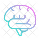 پیش‌نمایش فایل brain-4355326 از پک سلامت بدن