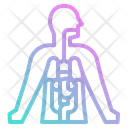پیش‌نمایش فایل human-anatomy-4355321 از پک سلامت بدن