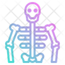 پیش‌نمایش فایل human-skeleton-4355312 از پک سلامت بدن