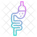 پیش‌نمایش فایل small-intestine-4355336 از پک سلامت بدن
