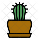 پیش‌نمایش فایل cactus-plant-4355664 از پک باغ و فضای سبز