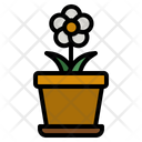 پیش‌نمایش فایل flower-pot-4355679 از پک باغ و فضای سبز
