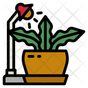 پیش‌نمایش فایل plant-4355676 از پک باغ و فضای سبز