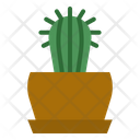 پیش‌نمایش فایل cactus-plant-4355630 از پک باغ و فضای سبز