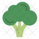 پیش‌نمایش فایل broccoli-4355918 از پک وگان