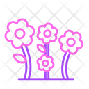پیش‌نمایش فایل flowers-5623120 از پک بهار