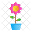 پیش‌نمایش فایل flower-pot-5624855 از پک بهار