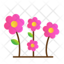 پیش‌نمایش فایل flowers-5624858 از پک بهار