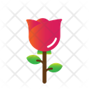 پیش‌نمایش فایل rose-flower-5624854 از پک بهار