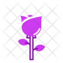 پیش‌نمایش فایل rose-flower-5624129 از پک بهار