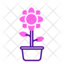 پیش‌نمایش فایل flower-pot-5624073 از پک بهار
