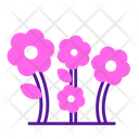 پیش‌نمایش فایل flowers-5624076 از پک بهار