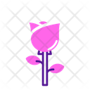 پیش‌نمایش فایل rose-flower-5624072 از پک بهار