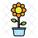 پیش‌نمایش فایل flower-pot-5624041 از پک بهار