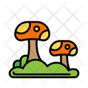 پیش‌نمایش فایل mushroom-plant-5624046 از پک بهار