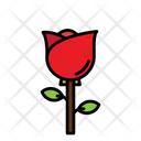 پیش‌نمایش فایل rose-flower-5624040 از پک بهار