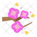 پیش‌نمایش فایل cherry-blossom-5623241 از پک بهار