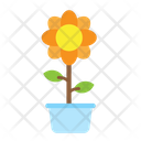 پیش‌نمایش فایل flower-pot-5623243 از پک بهار