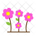 پیش‌نمایش فایل flowers-5623246 از پک بهار