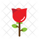 پیش‌نمایش فایل rose-flower-5623242 از پک بهار