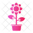 پیش‌نمایش فایل flower-pot-5623168 از پک بهار