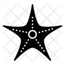 پیش‌نمایش فایل starfish-9134567 از پک تابستان