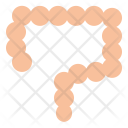 پیش‌نمایش فایل intestines-22 از پک سلامتی