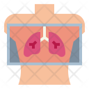 پیش‌نمایش فایل x-ray-36 از پک سلامتی