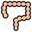 پیش‌نمایش فایل large-intestines از پک سلامتی