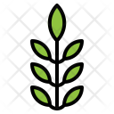 پیش‌نمایش فایل organic-food-10 از پک سلامتی