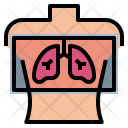 پیش‌نمایش فایل x-ray-37 از پک سلامتی