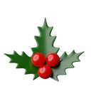 پیش‌نمایش فایل christmas-mistletoe-6730507 از پک کریسمس