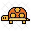 پیش‌نمایش فایل turtle-6446155 از پک حیوان خانگی