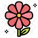 پیش‌نمایش فایل flowers-6451635 از پک بهار