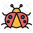 پیش‌نمایش فایل ladybug-6451641 از پک بهار