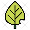 پیش‌نمایش فایل plant-6451644 از پک بهار