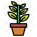 پیش‌نمایش فایل plant-6451645 از پک بهار