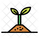 پیش‌نمایش فایل sprout-6451650 از پک بهار
