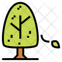 پیش‌نمایش فایل tree-6451653 از پک بهار