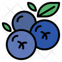 پیش‌نمایش فایل blueberries-6452018 از پک میوه