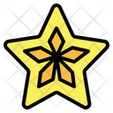 پیش‌نمایش فایل carambola-6452019 از پک میوه